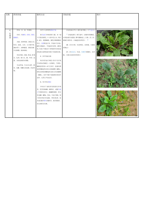 药用植物