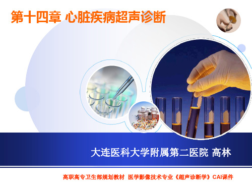 第十四章心脏疾病超声诊断