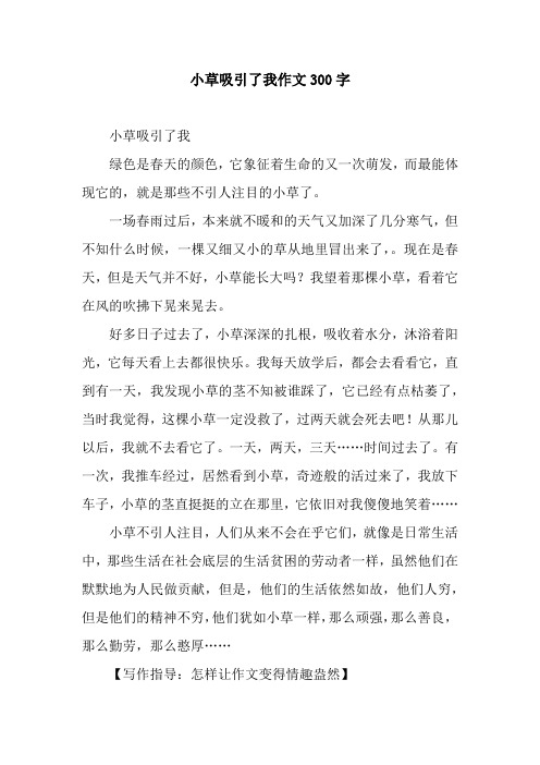 小草吸引了我作文300字