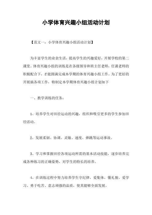 小学体育兴趣小组活动计划