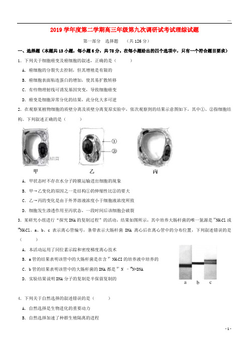 2019届高三理综第九次调研考试试题新人教版 新版