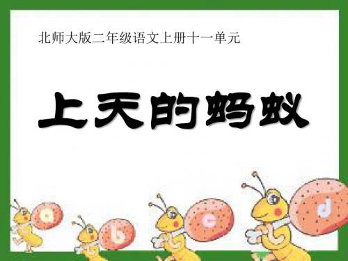 《上天的蚂蚁》精品ppt课件4