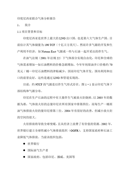 印度尼西亚伴生气分析报告