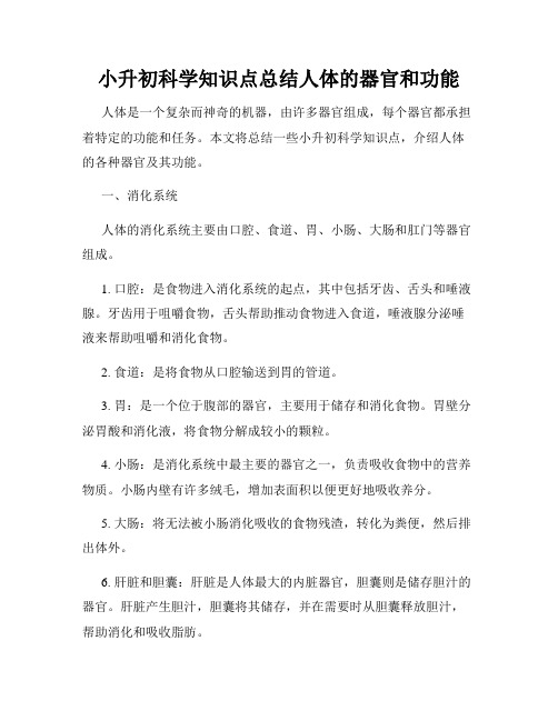 小升初科学知识点总结人体的器官和功能
