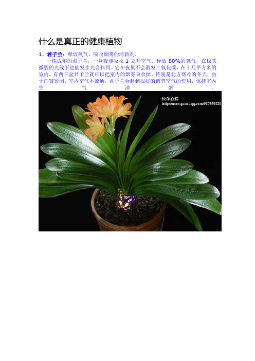 什么是真正的健康植物