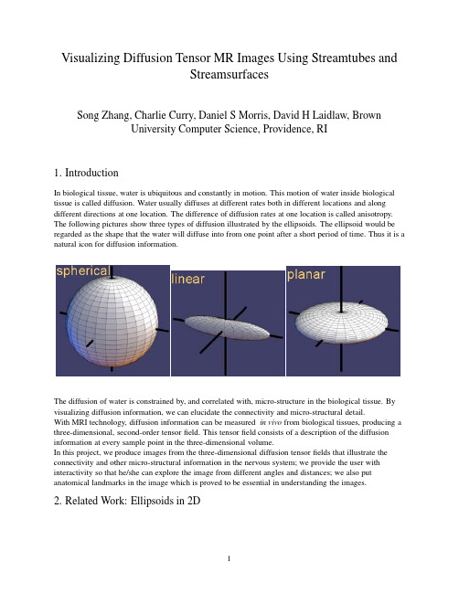 Visualizing Diffusion Tensor MR Images Using Streamtubes and Streamsurfaces