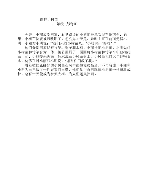 保护小树苗(二年级彭奇正)