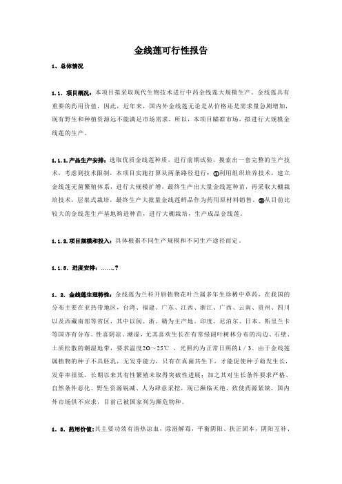 金线莲可行性报告