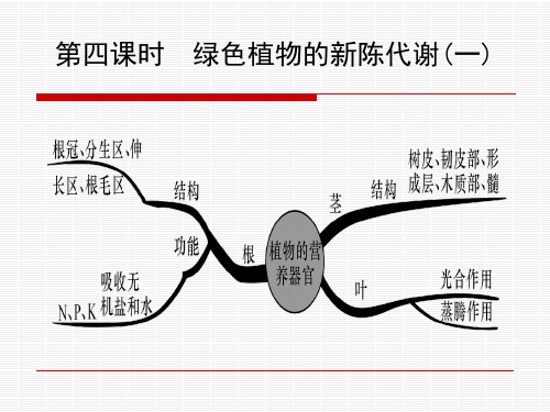 中考复习5——绿色植物的新陈代谢(一)