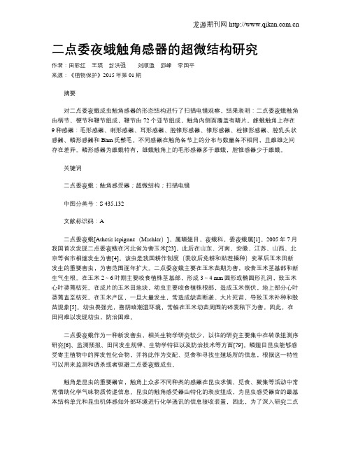 二点委夜蛾触角感器的超微结构研究
