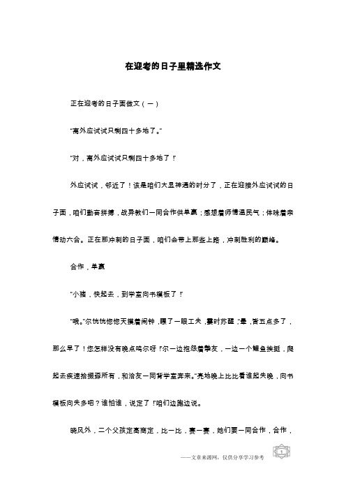 在迎考的日子里精选作文