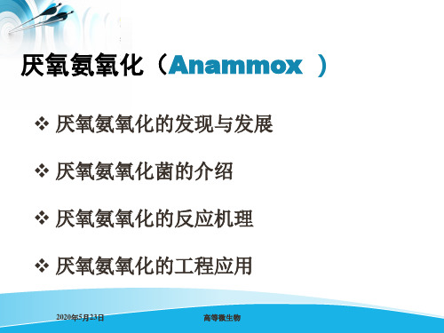 厌氧氨氧化的简介——李权全解名师优质资料