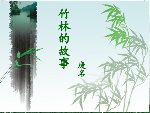 《竹林的故事》PPT课件