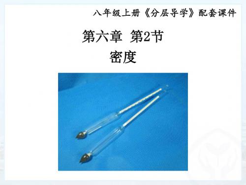 2018-2019物理分层导学八年级(上)人教版课件：第六章6.2密度