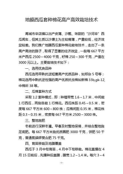 地膜西瓜套种棉花高产高效栽培技术