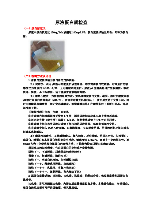 尿液蛋白质检查