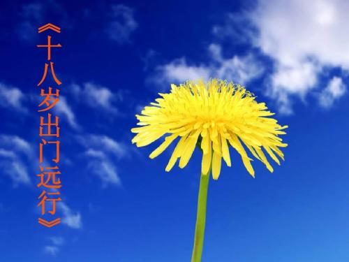【高中语文】十八岁出门远行ppt精品课件17