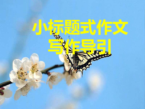 初中生小标题式作文写作指导 PPT课件