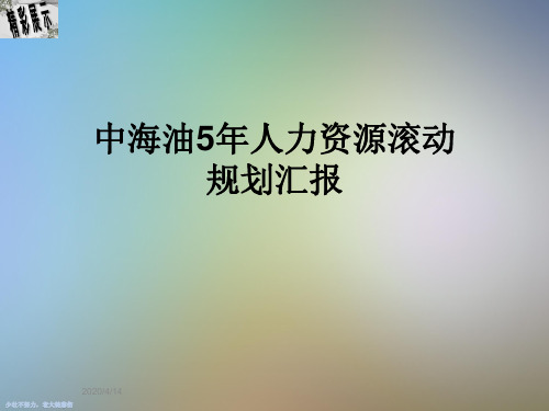 中海油5年人力资源滚动规划汇报