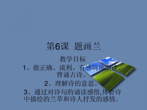 题画兰—潘红卫