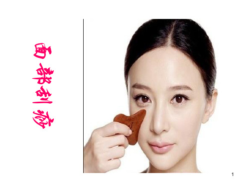 美容刮痧精品PPT课件