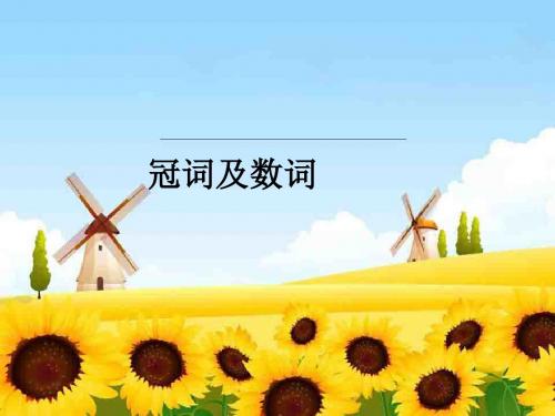 中考知识点总结之冠词及数词(共25张PPT)