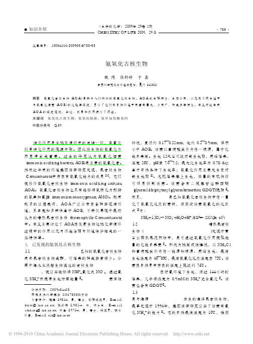 氨氧化古核生物
