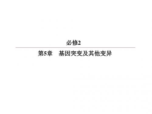 高考生物一轮复习 第5章 基因突变及其他变异 第1节 基因突变和基因重组课件 新人教版必修2