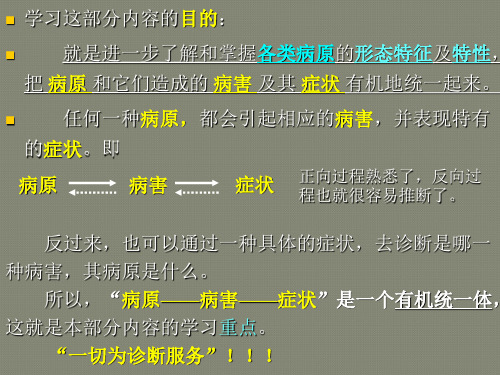 园林植物病虫害防治-2园林植物病原菌物(真菌)