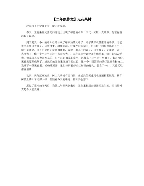 【二年级作文】无花果树