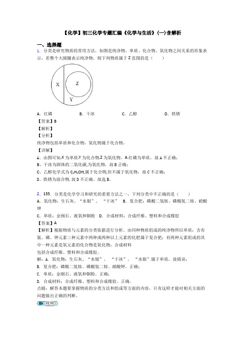 【化学】初三化学专题汇编《化学与生活》(一)含解析