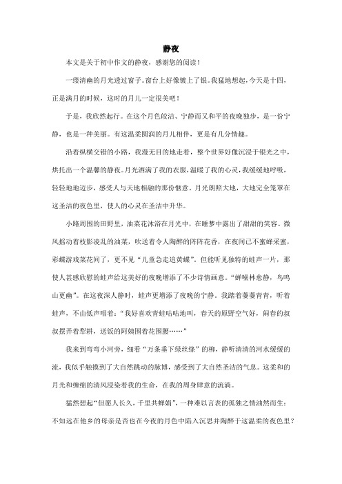 静夜_初中作文_1
