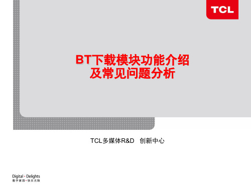 BT下载功能介绍及常见问题
