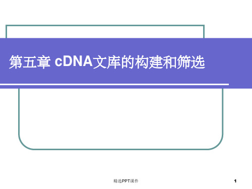 cDNA文库的构建和筛选PPT课件