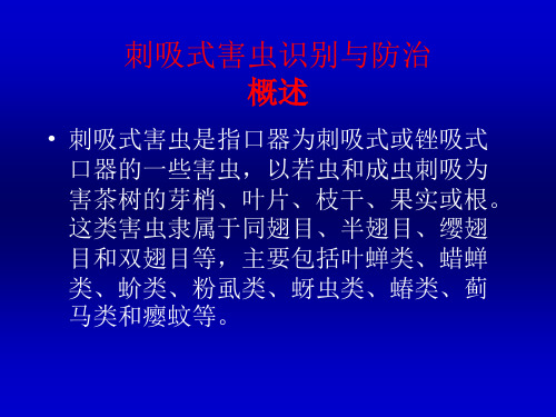 刺吸式害虫识别与防治