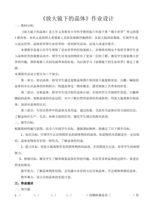 《放大镜下的晶体》作业设计