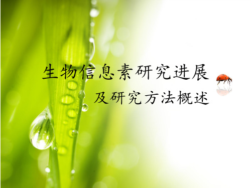 生物信息素研究进展及研究方法概述
