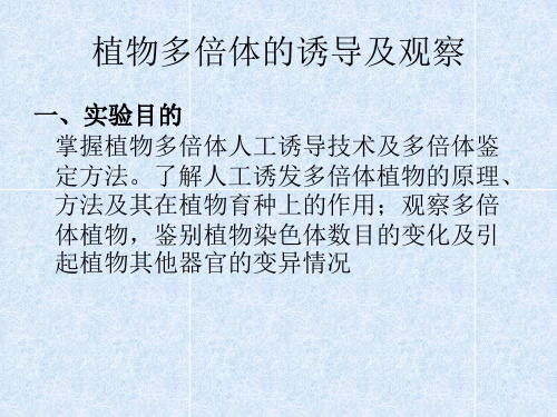 植物多倍体的诱导