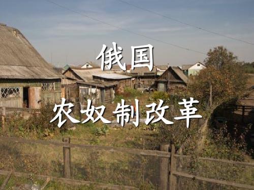 华师大版九年级历史 农奴制改革