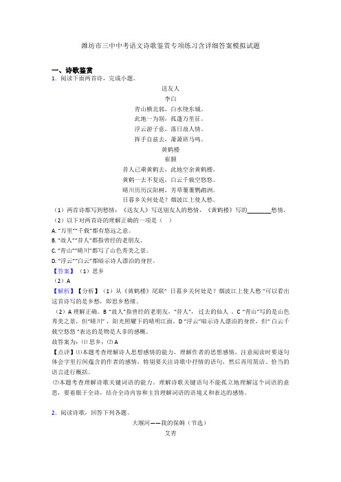 潍坊市三中中考语文诗歌鉴赏专项练习含详细答案模拟试题