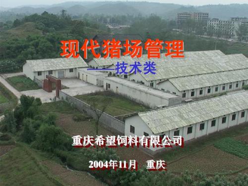 现代猪场技术管理