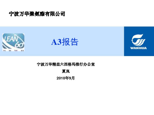 A3报告介绍