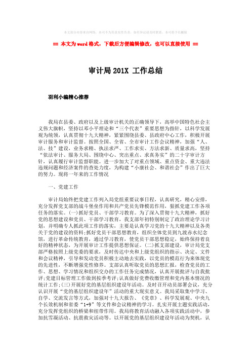 2018年审计局201X 工作总结-范文word版 (2页)