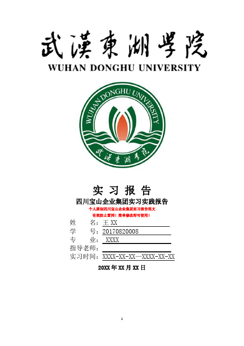 最新武汉东湖学院实习报告