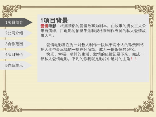 某项目洽谈合作方案(ppt 12页)