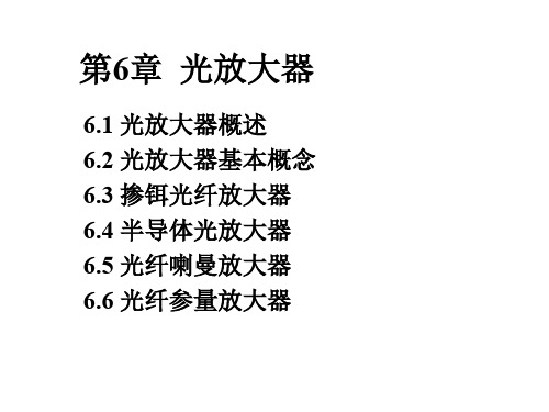 光放大器1