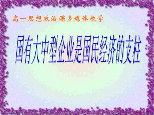 国有大中型企业是国民经济的支柱(新编教材)