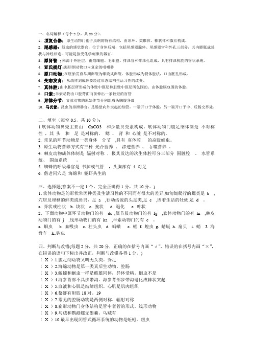 动物