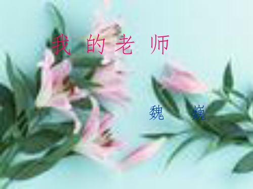 语文苏教版七下课件我的老师
