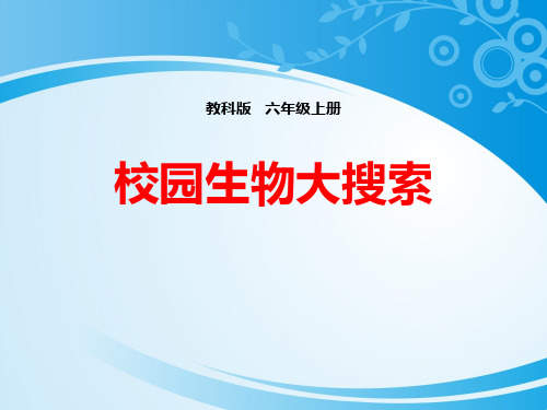 《校园生物大搜索》生物的多样性PPT下载
